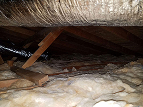 Attic Cleaning and Insulation